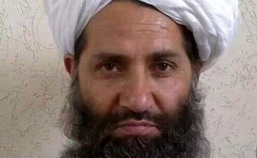 این چهره ریاست دولت جدید طالبان را برعهده می‌گیرد