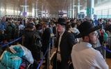فروش ده‌ها هزار بلیط هواپیما برای خروج از اراضی اشغالی