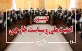 کلیات طرح تنگه هرمز در کمیسیون امنیت ملی تصویب شد

