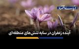 آینده زعفران در سایه تنش‌های منطقه‌ای