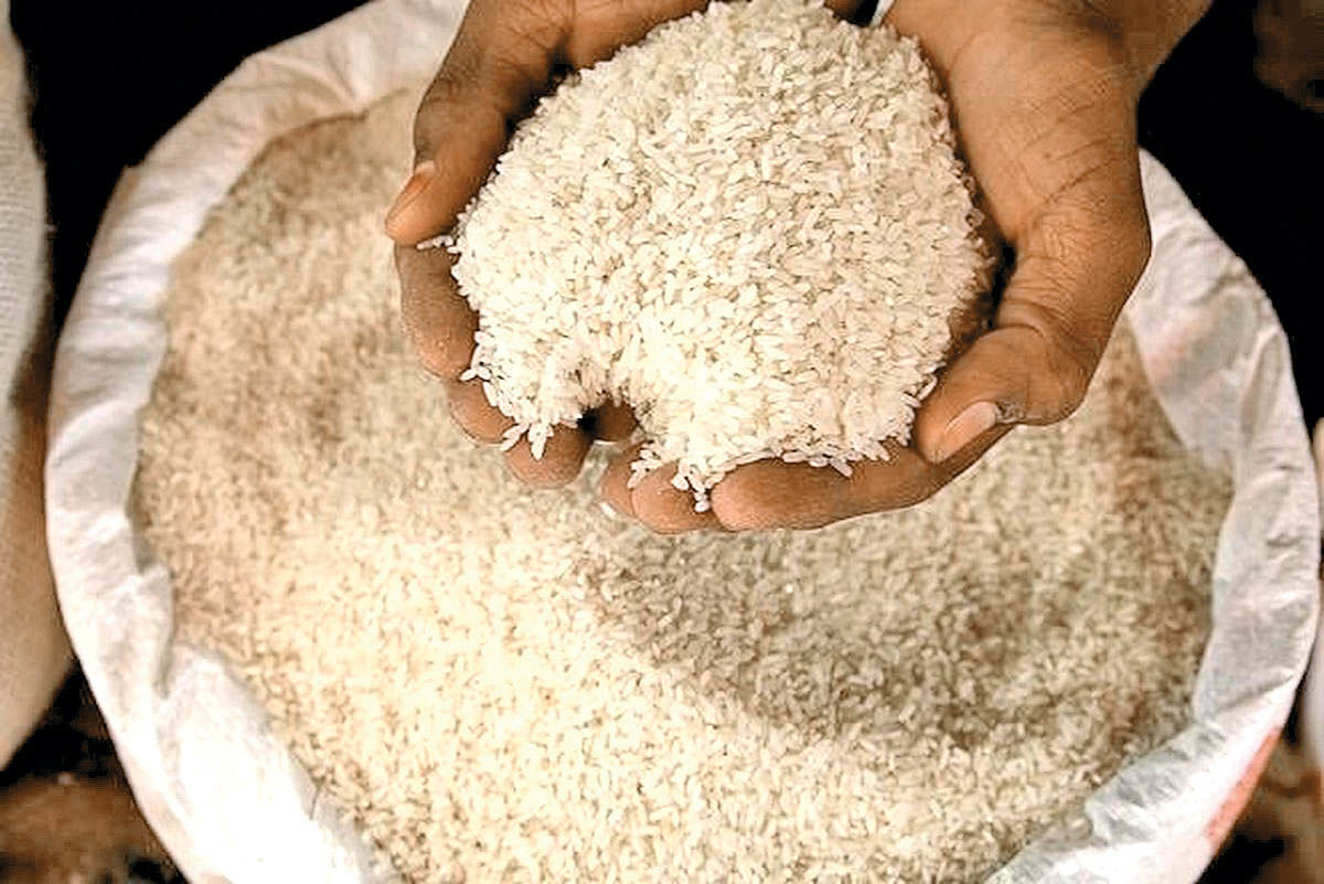 پیش‌بینی افزایش احتمالی قیمت برنج