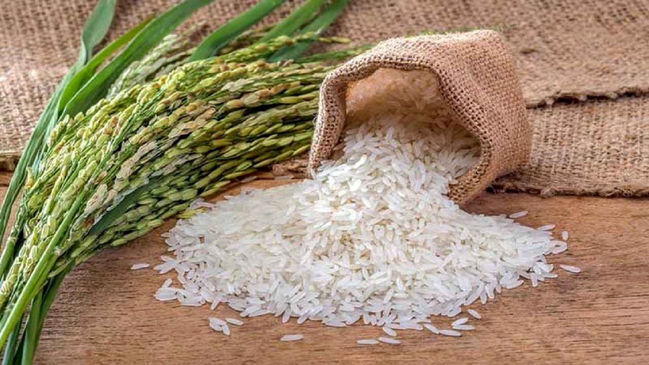 برنج  ۶ تا ۷ هزار تومان ارزان شد