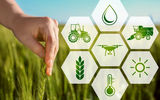دیباچه‌ای بر دینامیک انرژی در زنجیره تامین مواد غذایی