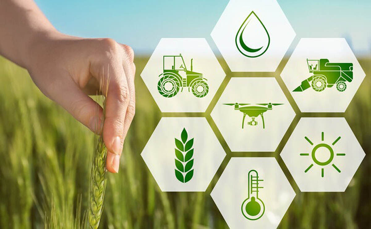 دیباچه‌ای بر دینامیک انرژی در زنجیره تامین مواد غذایی