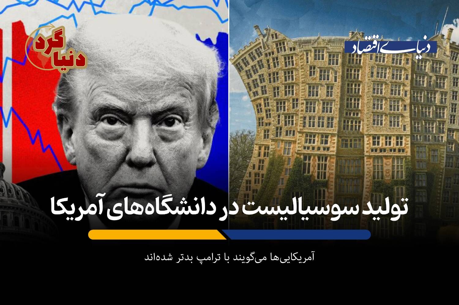 تولید سوسیالیست در دانشگاه‌های آمریکا