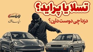 تسلا یا پراید؟ دزدا چی دوست دارن؟