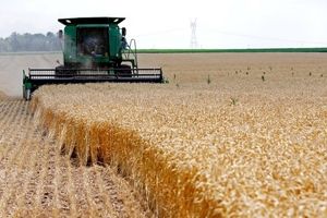 آمریکا در مسیر ممنوعیت صادرات گازوئیل