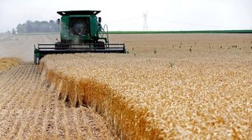 آمریکا در مسیر ممنوعیت صادرات گازوئیل