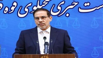 اظهارات تازه سخنگوی قوه قضائیه درباره ترور 2 قاضی در تهران+ فیلم