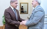 ادامه گفت‌و‌گوهای فشرده مقامات پاکستانی با مسئولان ایرانی/ شریف با سفیر ایران در اسلام‌آباد دیدار کرد