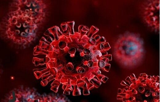 سویه جدید کرونا مسری‌ترین جهش ویروس چیست؟