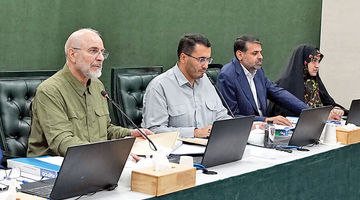 تعجب «بهارستان» از مکانیزم ارزی «میرداماد»
