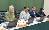 تعجب «بهارستان» از مکانیزم ارزی «میرداماد»