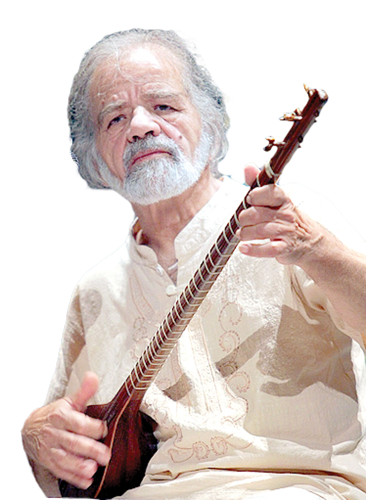 گل صدبرگ پرپر شد