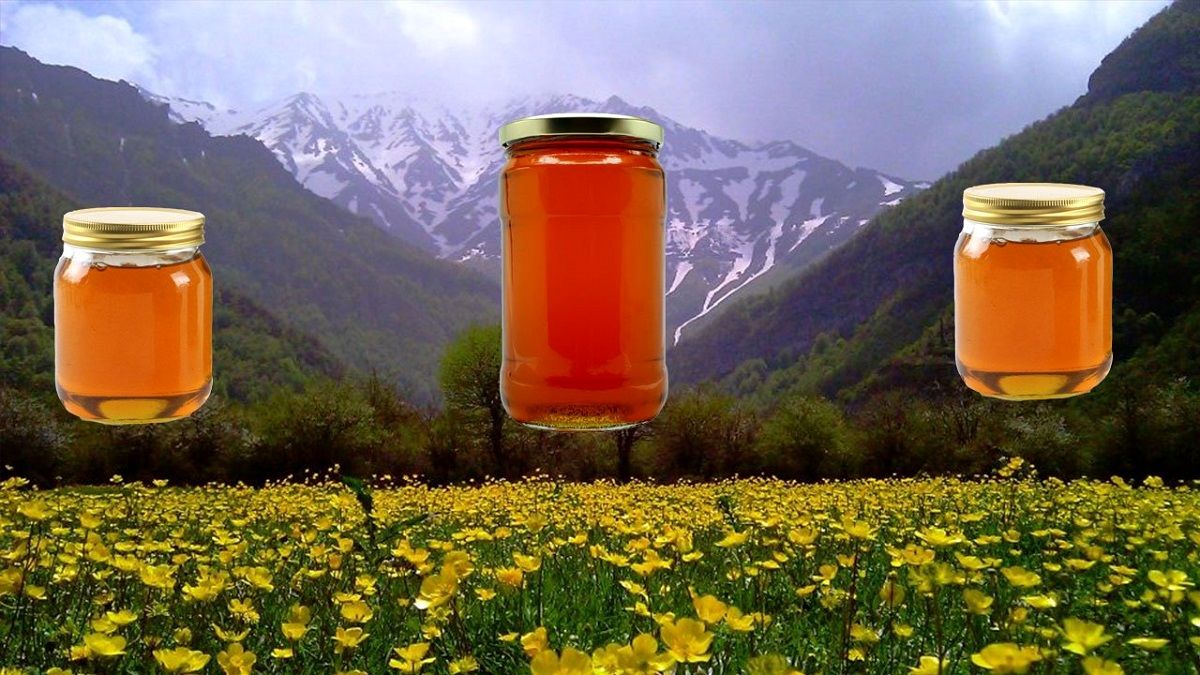 بهترین عسل ایران از چه گیاهی است و برای کدام منطقه است؟