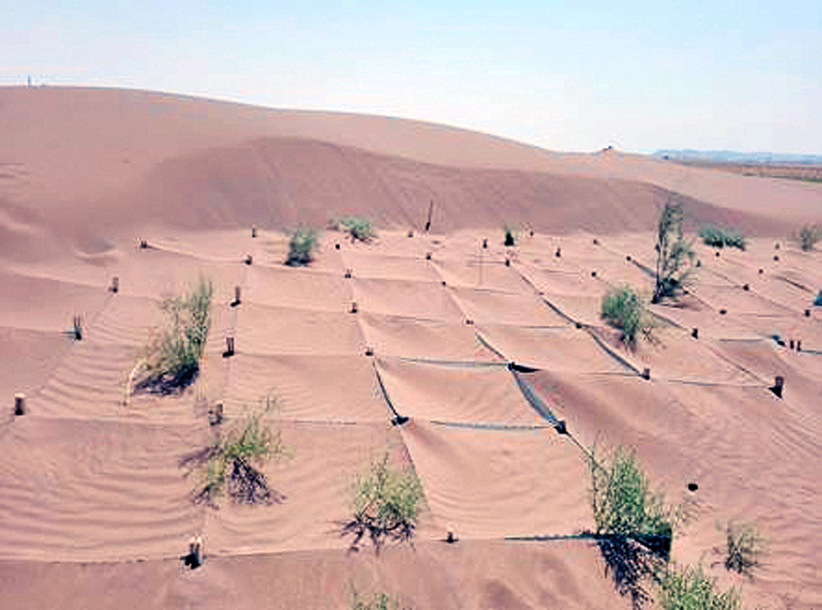 تبدیل بیابان  به  مزرعه