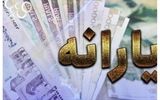 یارانه چه کسانی قطع می‌شود؟/ 10 میلیون نفر در صف حذف یارانه‌ها
