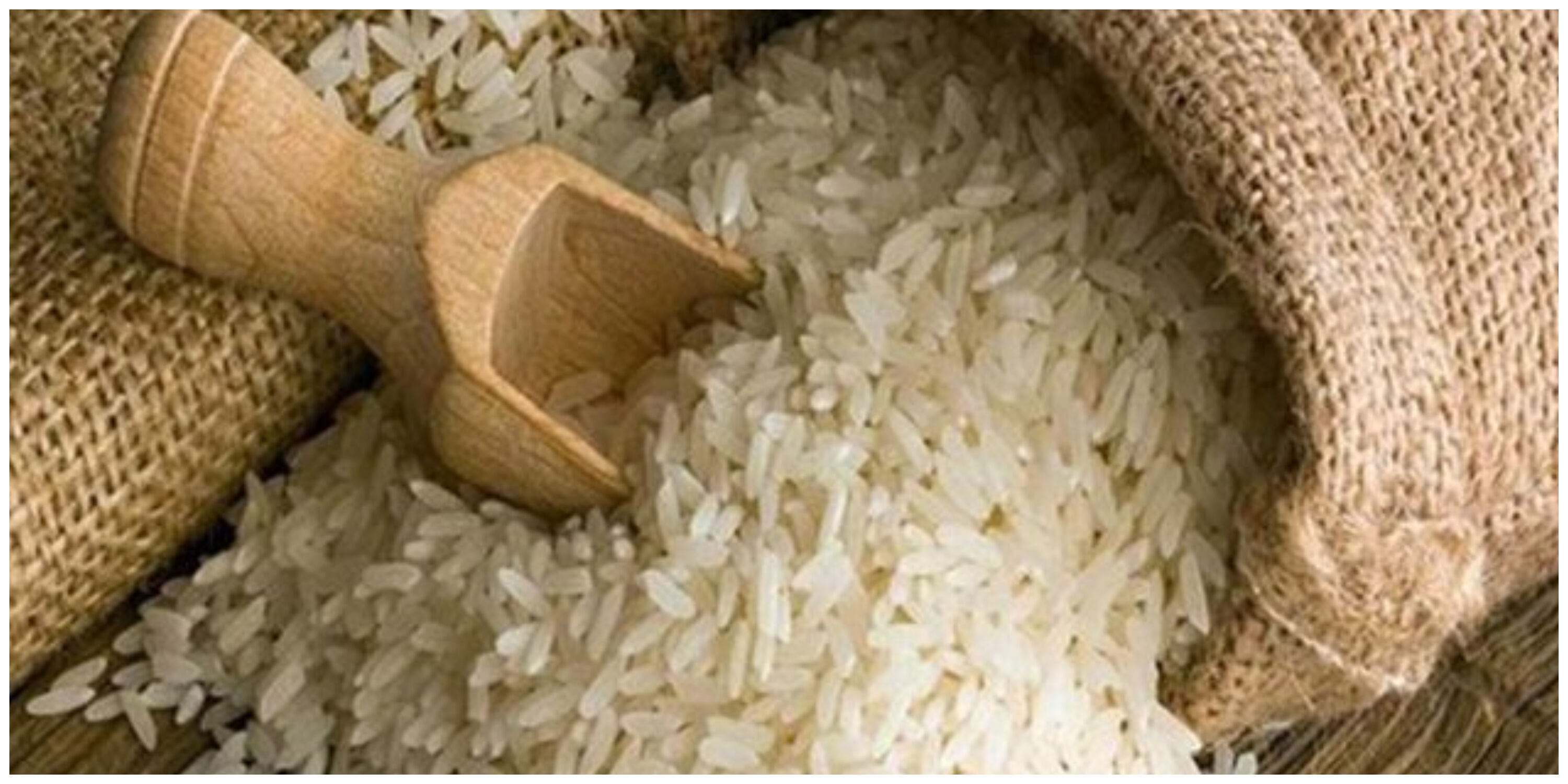 قیمت این برنج در بازار صعود کرد 