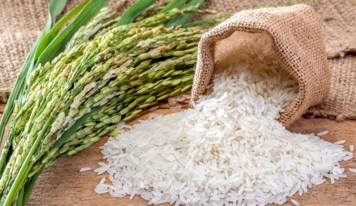 قیمت صادرات برنج ایرانی کامفیروزی + طرز تهیه کوفته قلقلی با برنج و لپه