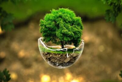 قاب‌هایی از غیرقابل‌ مشاهده‌ترین بخش‌های زندگی + عکس