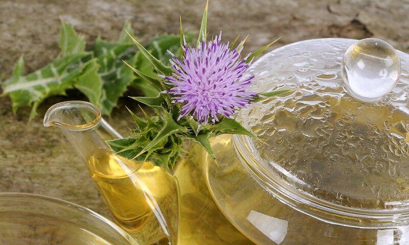 پیشنهادات طب سنتی برای کبد