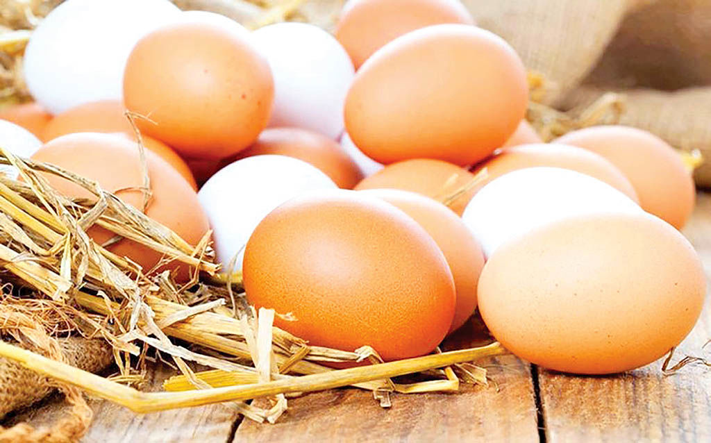 تبعات کاهش 20 درصدی تولید تخم‌مرغ
