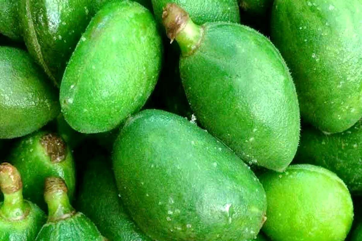 گوجه‌سبز چند میلیون شد؟/قیمت‌های باورنکردنی این میوه‌ها