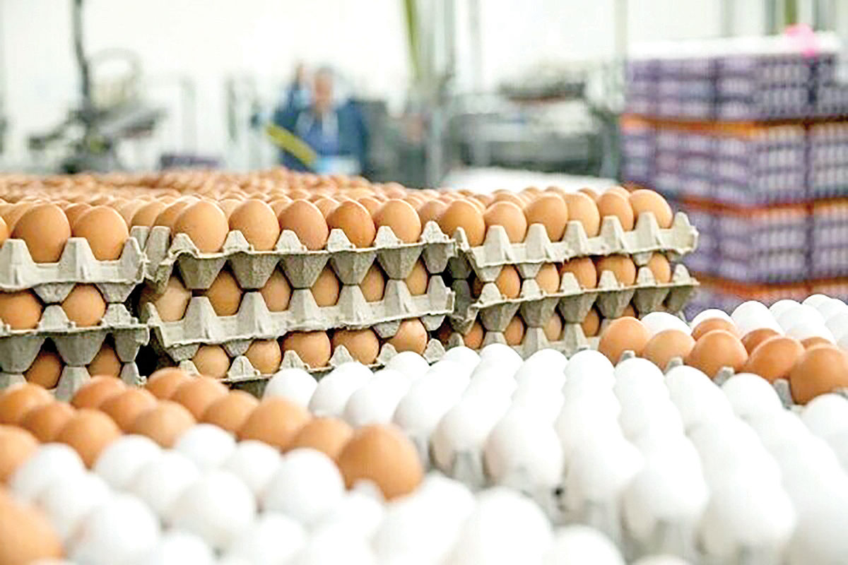 پیدا کنید تخم مرغ فروش را!