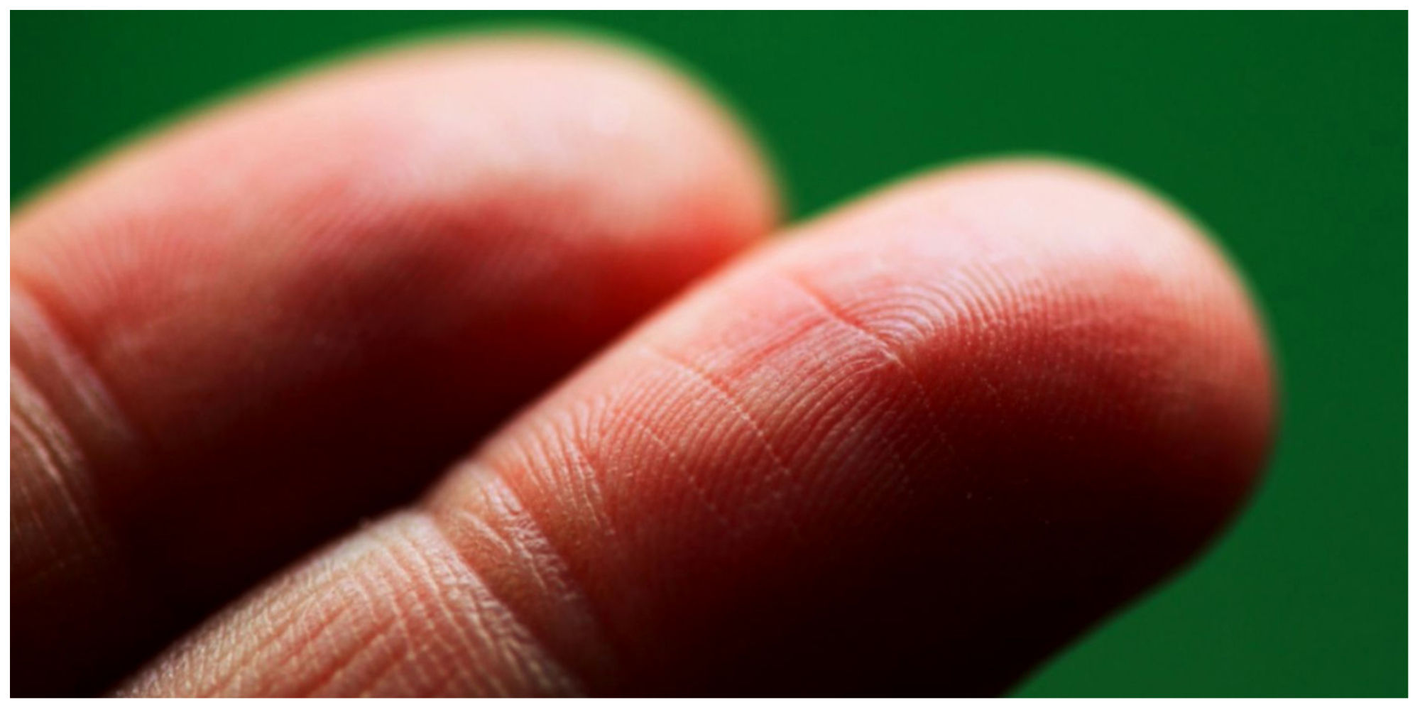 ددوقلوهای همسان اثر انگشت یکسانی دارند؟