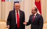 ترامپ مقابل دوربین‌ها با السیسی دست نداد!