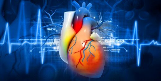 میزان ابتلا به بیماری‌ قلبی در مردان بیشتر است