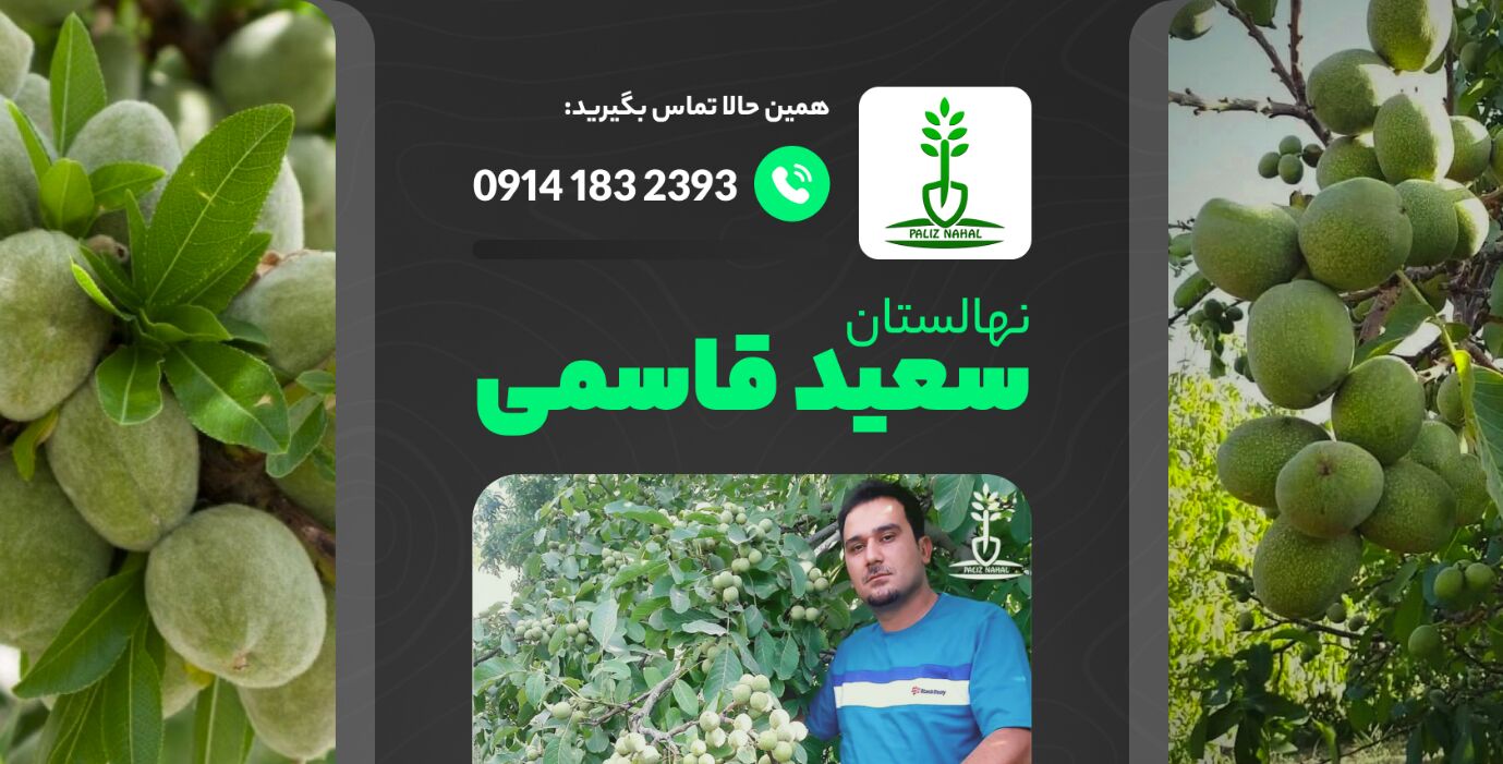 تنها ۱۰ روز برای خرید نهال لیبل دار فرصت باقی مانده است