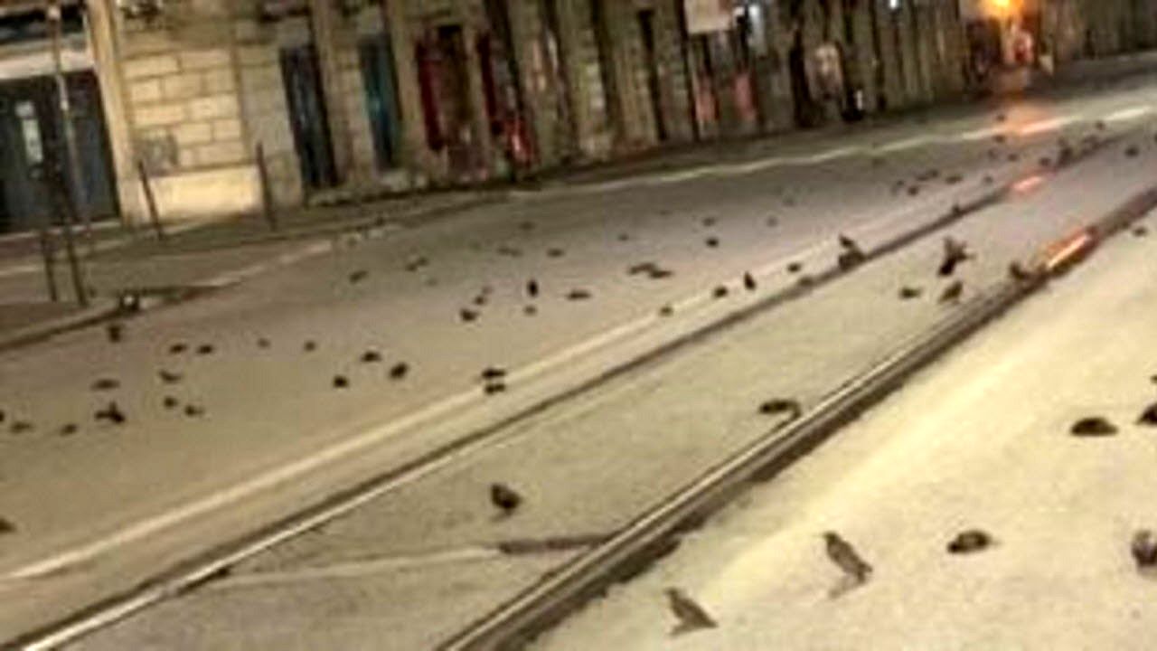 صحنه ای عجیب در خیابان های ایتالیا