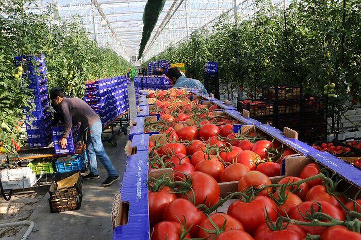  تحول صنایع تبدیلی در هرمزگان