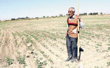 سطح زیر کشت اصفهان آب رفت