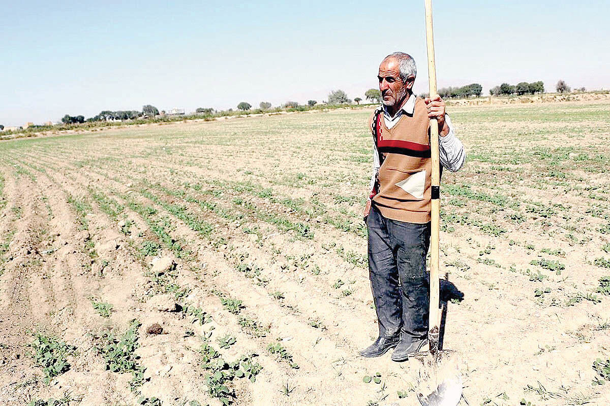 سطح زیر کشت اصفهان آب رفت