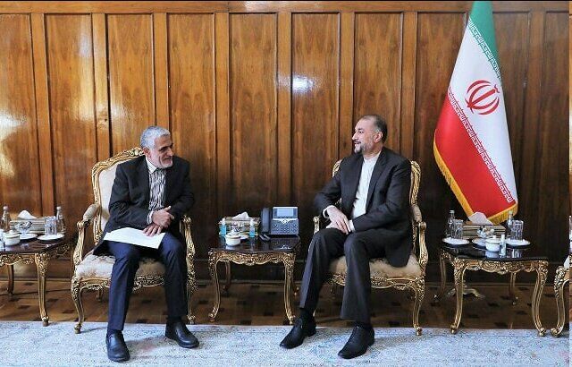 سعید ایروانی با امیرعبداللهیان دیدار کرد