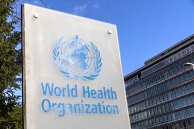 واکنش سازمان بهداشت جهانی به جاری شدن حمام خون در غزه / جنگ باید متوقف شد 2