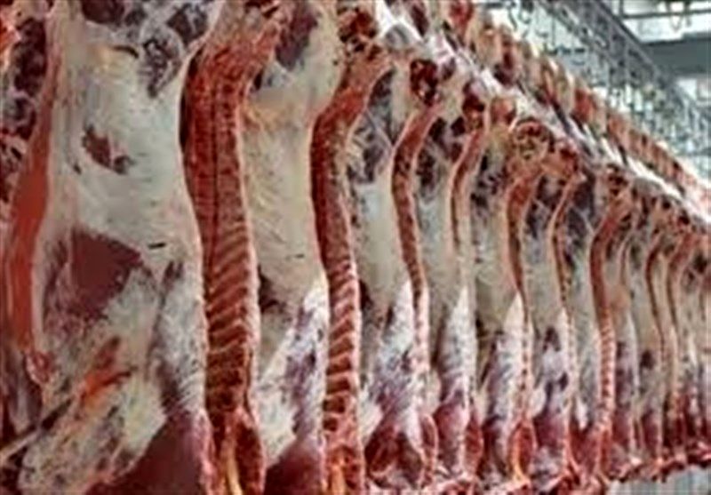 گوشت گرم وارداتی از هفته آینده وارد بازار می‌شود 