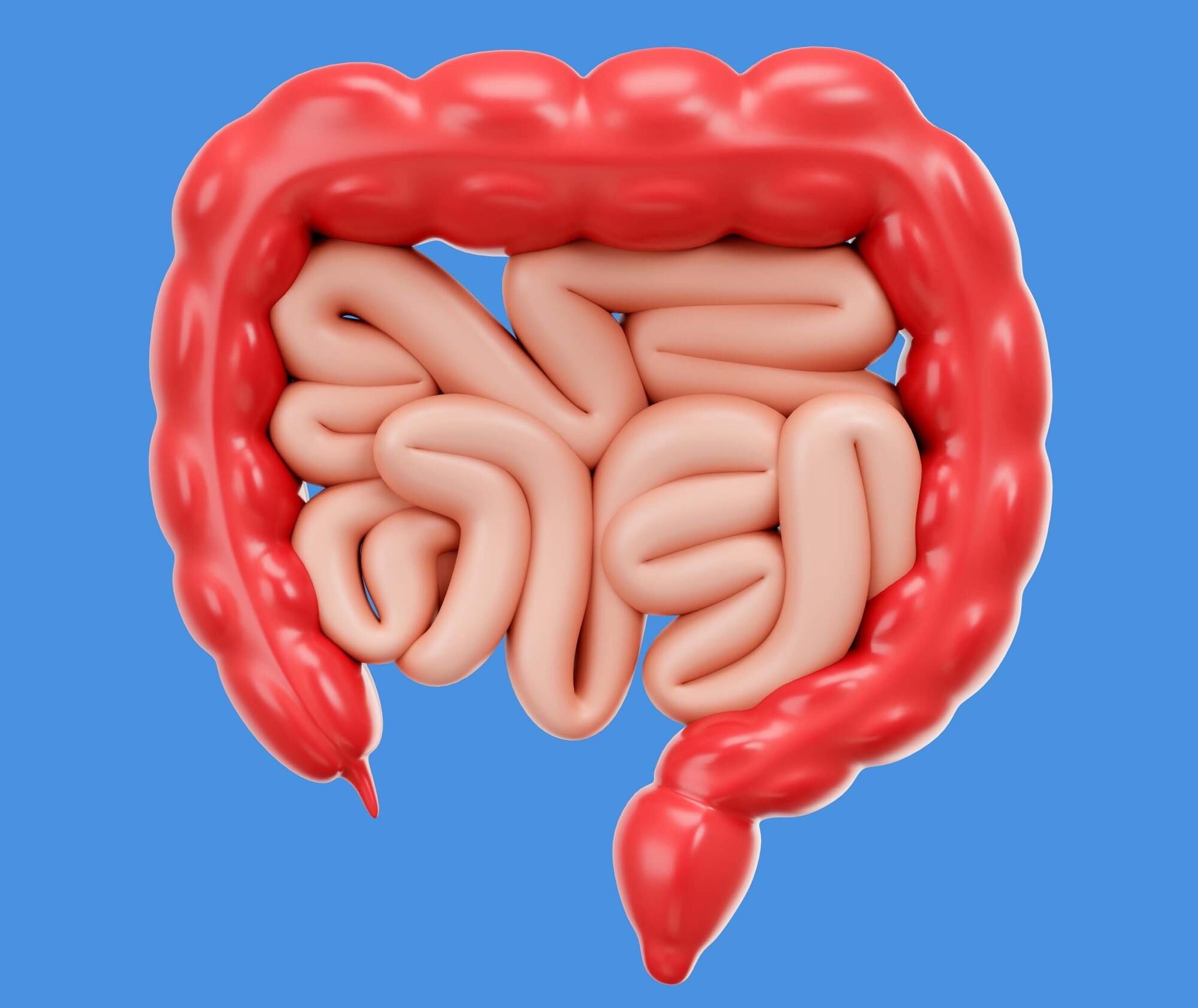 چگونه میکروبیوم روده را تقویت کنیم؟

