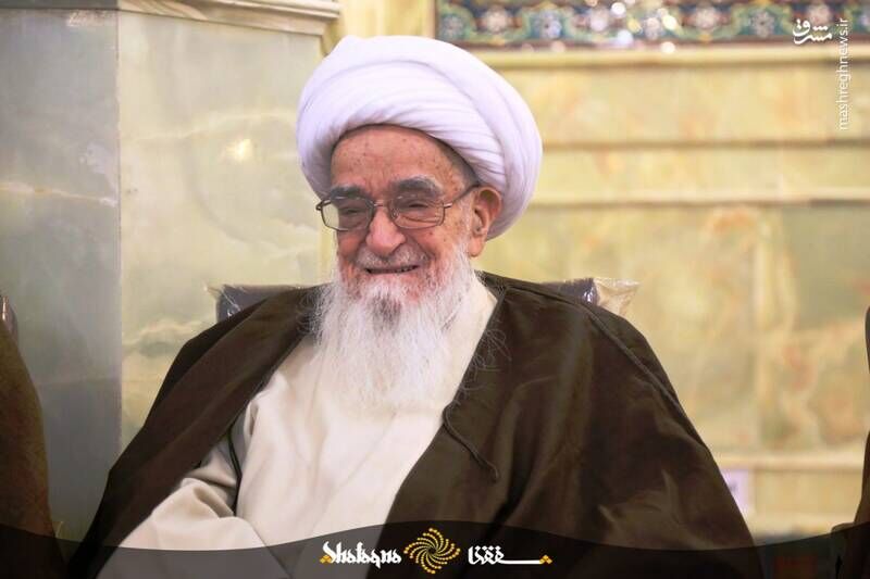  آیت‌الله صافی گلپایگانی در قاب تصویر+ زندگینامه