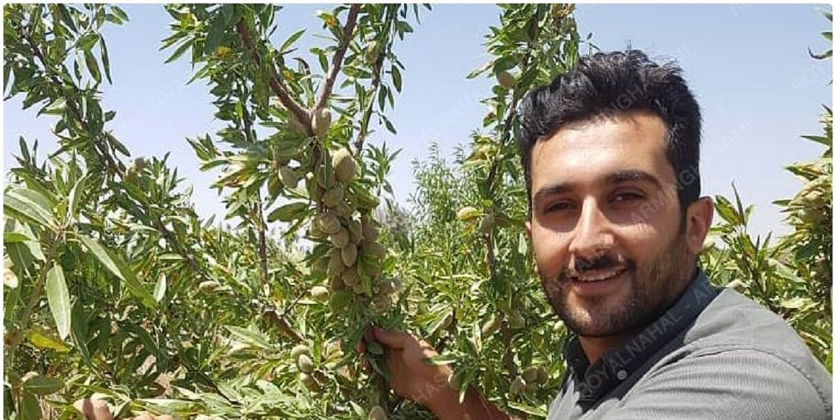 احداث باغ بادام در زمین های کم آب و شور