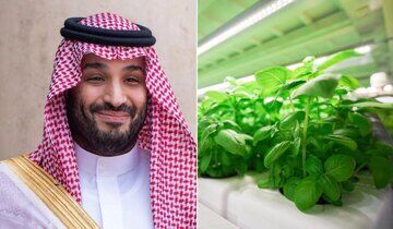 طرح عجیب بن سلمان وسط بیابان+عکس