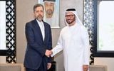 دیدار و گفتگوی دیپلمات‌های ارشد ایران و امارات در ابوظبی