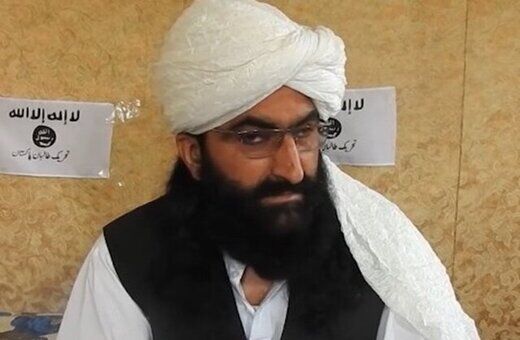 رهبر طالبان پاکستان: در کنار طالبان افغانستان می‌جنگیم
