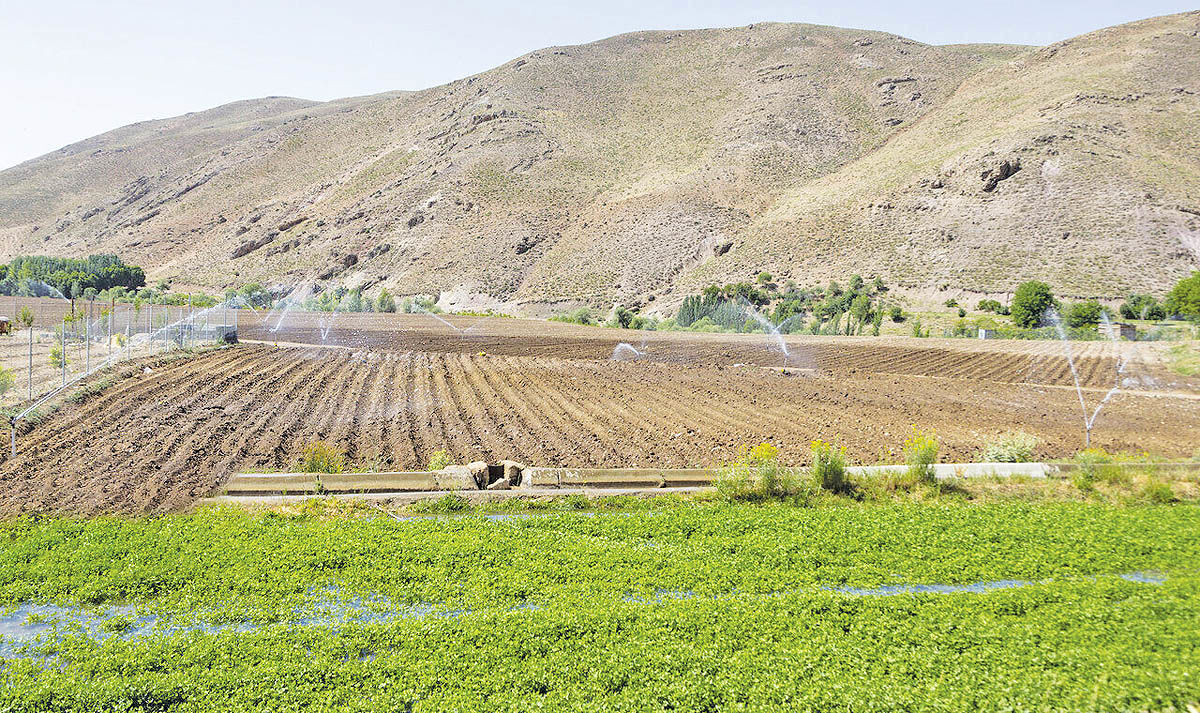 شبکه‌ آبیاری و زهکشی در ١۵۶ هکتار از مزارع اصفهان ایجاد شد