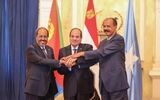 جزئیات نشست چهارجانبه آفریقایی در مصر