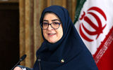 نگرانی دولت از نحوه اجرای «طرح نفوذ»