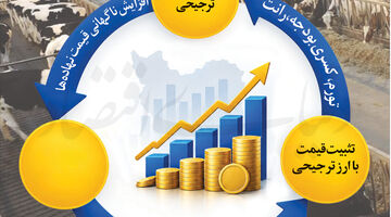 مکمل‌های حمایتی اصلاح ارزی