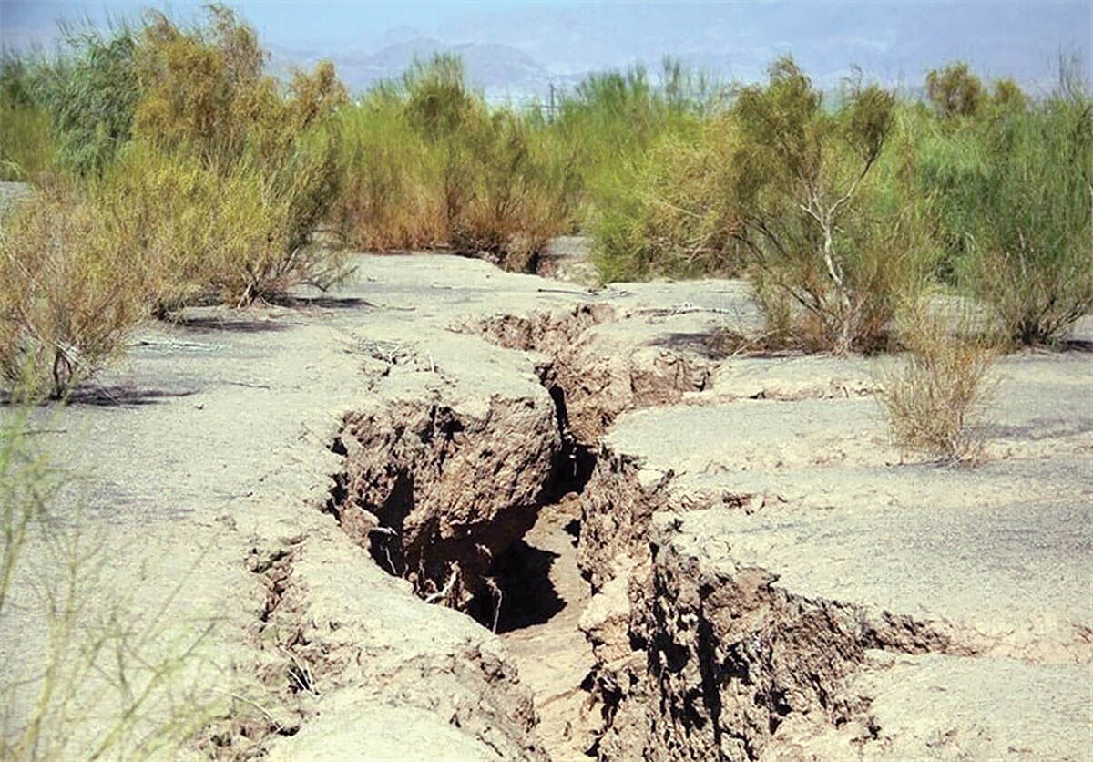 معمای غفلت نامزدها از درد محیط‌زیست